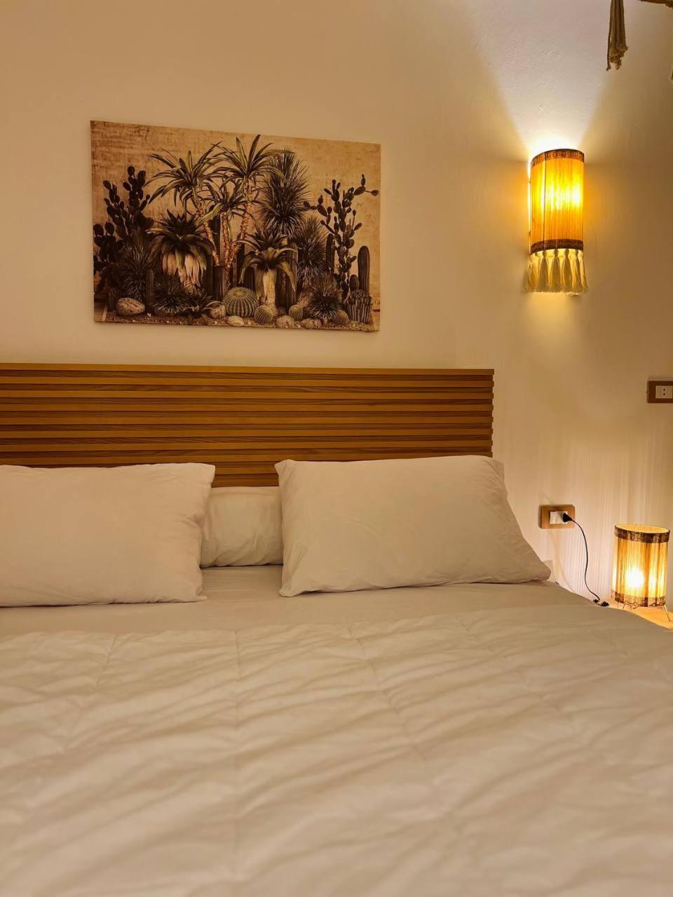 Paradise Studios Sheikh Zayed City Bagian luar foto